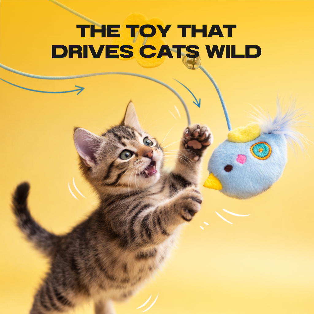 Lunvica BUNGEE™ Automatic Yo-Yo Cat Toy